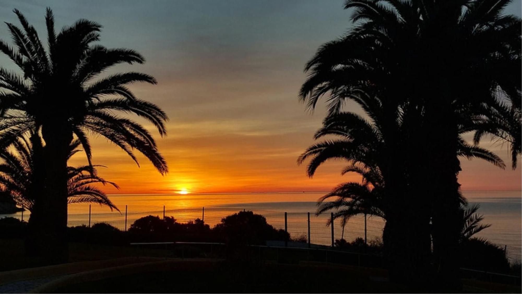 Bungalow Alkabir Playa El Campello Dış mekan fotoğraf